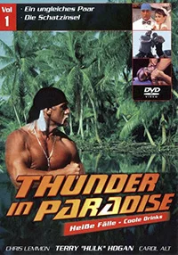 Сериал Гром в раю (1994)