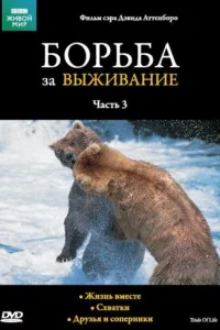 Сериал BBC: Борьба за выживание (1990)
