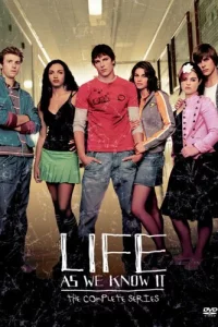 Сериал Переходный возраст (2004)