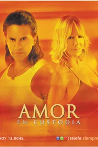 Сериал Телохранитель (2005)
