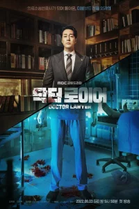 Сериал Врач-адвокат (2022)