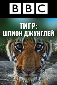 Сериал BBC: Тигр — Шпион джунглей (2008)