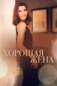 Сериал Хорошая жена (2009)