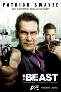Сериал Зверь (2009)