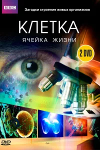 Сериал BBC: Клетка (2009)