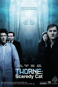 Сериал Торн: Пуганая ворона (2010)