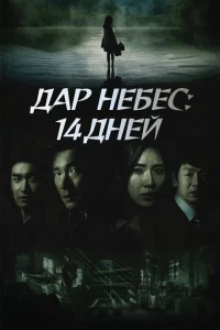 Сериал Дар небес: 14 дней (2014)