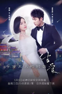 Сериал Узелок любви: Первая любовь Его Превосходительства (2018)