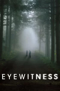 Сериал Свидетели (2016)