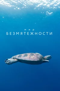 Сериал Мир безмятежности (2020)