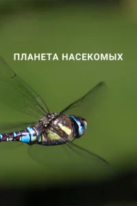 Сериал Планета насекомых (2022)