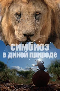 Сериал Симбиоз в дикой природе (2023)