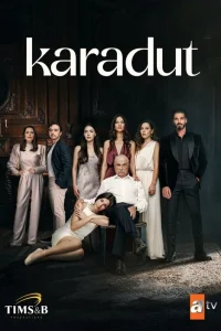 Сериал Чёрная шелковица (2024)