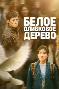 Сериал Белое оливковое дерево (2025)